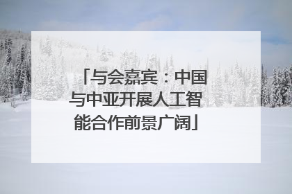 与会嘉宾：中国与中亚开展人工智能合作前景广阔