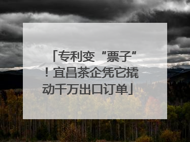 专利变“票子”！宜昌茶企凭它撬动千万出口订单