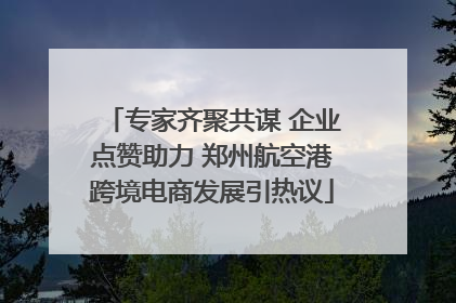 专家齐聚共谋 企业点赞助力 郑州航空港跨境电商发展引热议