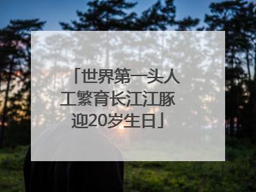 世界第一头人工繁育长江江豚迎20岁生日