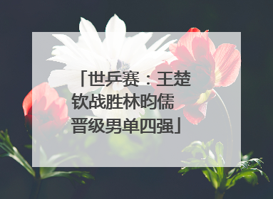 世乒赛：王楚钦战胜林昀儒 晋级男单四强