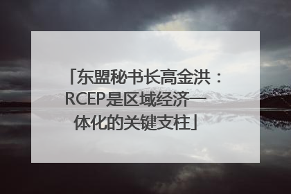 东盟秘书长高金洪：RCEP是区域经济一体化的关键支柱