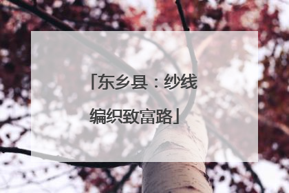 东乡县：纱线编织致富路