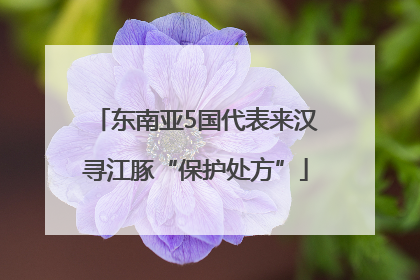 东南亚5国代表来汉寻江豚“保护处方”