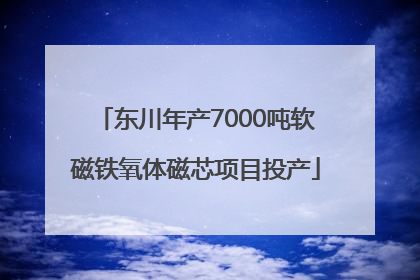 东川年产7000吨软磁铁氧体磁芯项目投产