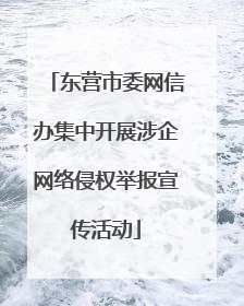 东营市委网信办集中开展涉企网络侵权举报宣传活动