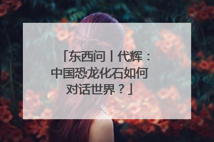 东西问丨代辉：中国恐龙化石如何对话世界？