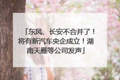 东风、长安不合并了！将有新汽车央企成立！湖南天雁等公司发声