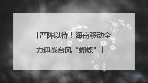 严阵以待！海南移动全力迎战台风“蝴蝶”