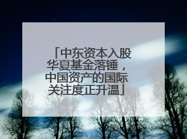 中东资本入股华夏基金落锤，中国资产的国际关注度正升温