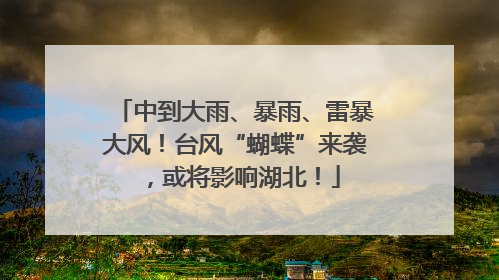 中到大雨、暴雨、雷暴大风！台风“蝴蝶”来袭，或将影响湖北！