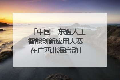 中国—东盟人工智能创新应用大赛在广西北海启动