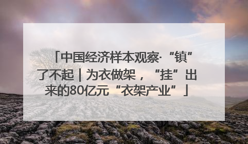 中国经济样本观察·“镇”了不起｜为衣做架，“挂”出来的80亿元“衣架产业”