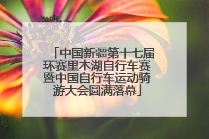 中国新疆第十七届环赛里木湖自行车赛暨中国自行车运动骑游大会圆满落幕