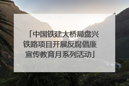 中国铁建大桥局盘兴铁路项目开展反腐倡廉宣传教育月系列活动