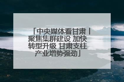 中央媒体看甘肃丨聚焦集群建设 加快转型升级 甘肃支柱产业增势强劲