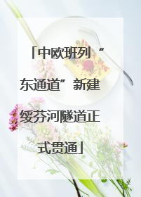 中欧班列“东通道”新建绥芬河隧道正式贯通