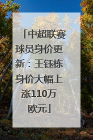 中超联赛球员身价更新：王钰栋身价大幅上涨110万欧元