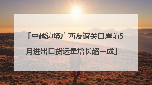 中越边境广西友谊关口岸前5月进出口货运量增长超三成