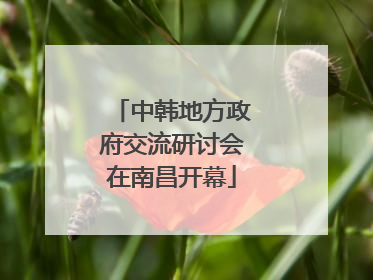 中韩地方政府交流研讨会在南昌开幕