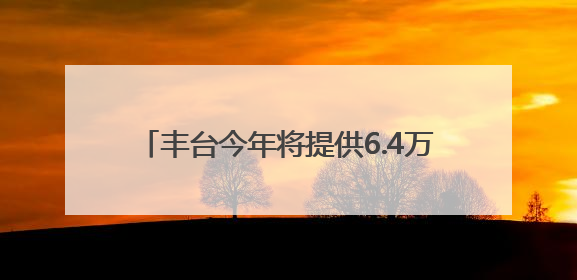 丰台今年将提供6.4万个实习见习和就业岗位