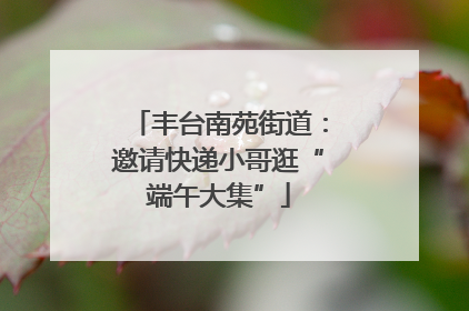 丰台南苑街道：邀请快递小哥逛“端午大集”