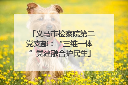义马市检察院第二党支部：“三维一体”党建融合护民生