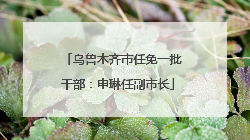 乌鲁木齐市任免一批干部：申琳任副市长