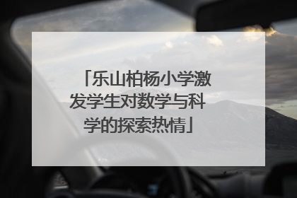 乐山柏杨小学激发学生对数学与科学的探索热情
