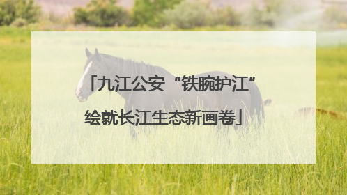 九江公安“铁腕护江”绘就长江生态新画卷