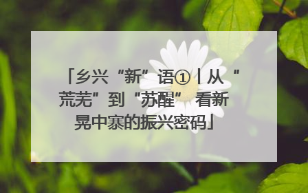 乡兴“新”语①丨从“荒芜”到“苏醒” 看新晃中寨的振兴密码