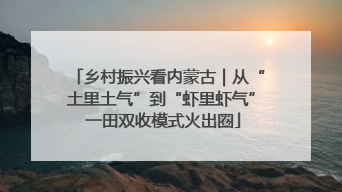 乡村振兴看内蒙古｜从“土里土气”到“虾里虾气” 一田双收模式火出圈