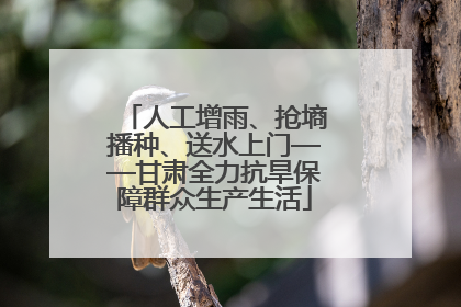 人工增雨、抢墒播种、送水上门——甘肃全力抗旱保障群众生产生活