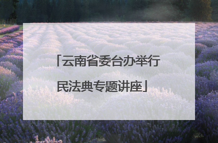 云南省委台办举行民法典专题讲座