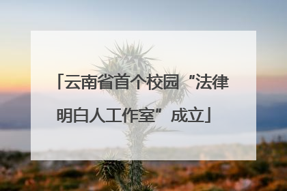 云南省首个校园“法律明白人工作室”成立
