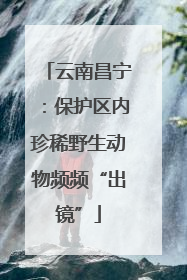 云南昌宁：保护区内珍稀野生动物频频“出镜”