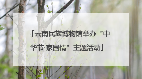 云南民族博物馆举办“中华节·家国情”主题活动
