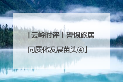 云岭时评丨警惕旅居同质化发展苗头④