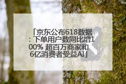 京东公布618数据：下单用户数同比增100% 超百万商家和6亿消费者受益AI