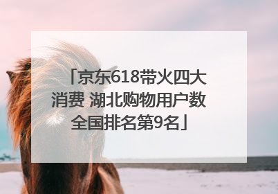 京东618带火四大消费 湖北购物用户数全国排名第9名