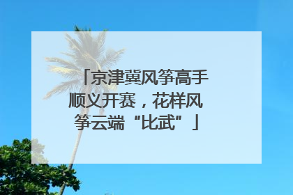 京津冀风筝高手顺义开赛，花样风筝云端“比武”