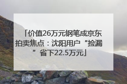 价值26万元钢笔成京东拍卖焦点：沈阳用户“捡漏”省下22.5万元