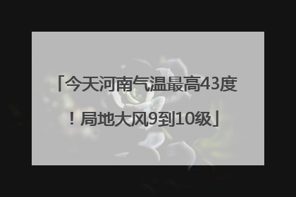今天河南气温最高43度！局地大风9到10级