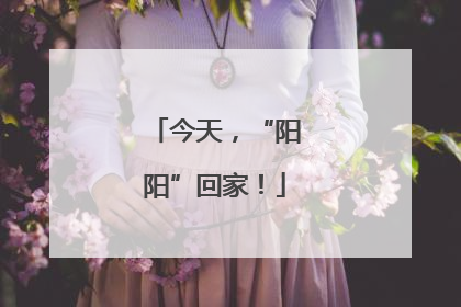 今天，“阳阳”回家！