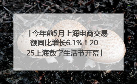 今年前5月上海电商交易额同比增长6.1%！2025上海数字生活节开幕