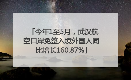 今年1至5月，武汉航空口岸免签入境外国人同比增长160.87%