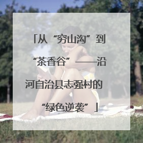 从“穷山沟”到“茶香谷”——沿河自治县志强村的“绿色逆袭”