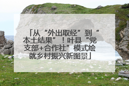 从“外出取经”到“本土结果”！叶县“党支部+合作社”模式绘就乡村振兴新图景