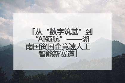 从“数字筑基”到“AI领航”——湖南国资国企竞速人工智能新赛道
