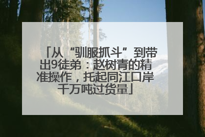 从“驯服抓斗”到带出9徒弟：赵树青的精准操作，托起同江口岸千万吨过货量